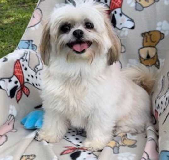 Photo of Chloe Rae
