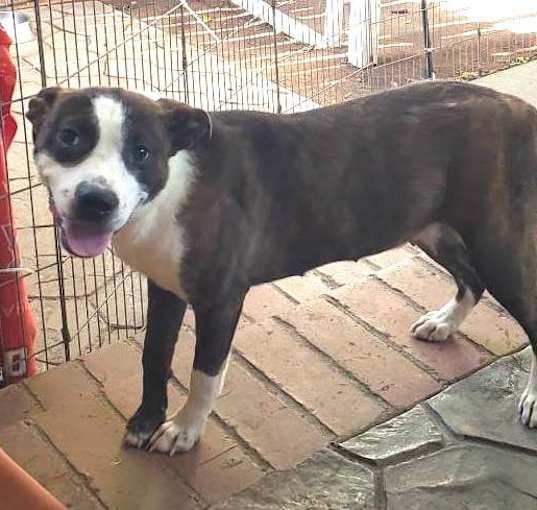 Photo of CHARM