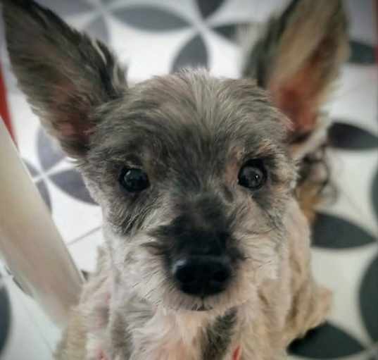Photo of Sylvie
