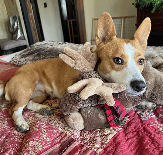 Photo of Betsy
