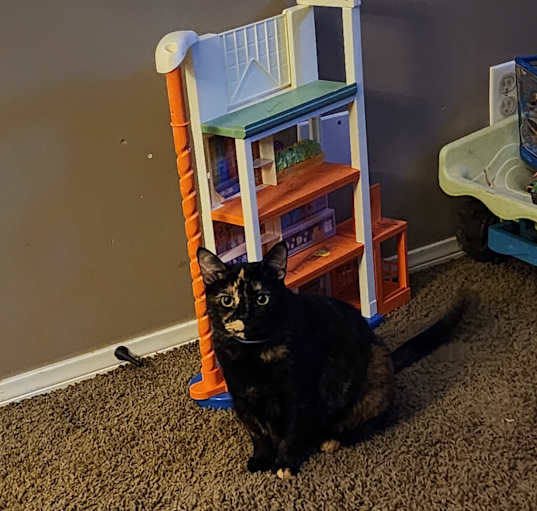 Photo of Clementine