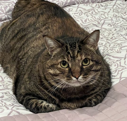 Photo of Kiki