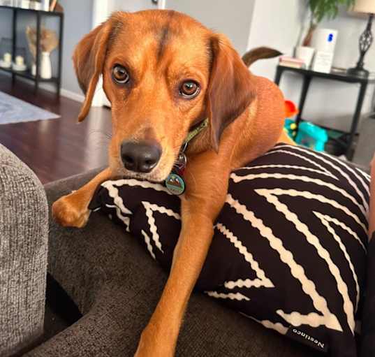 Photo of Beasley