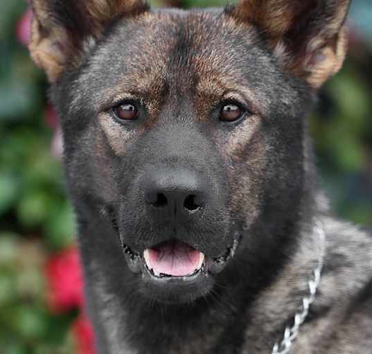 Photo of Kora von Krefeld
