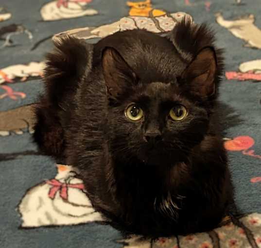 Photo of Wynter
