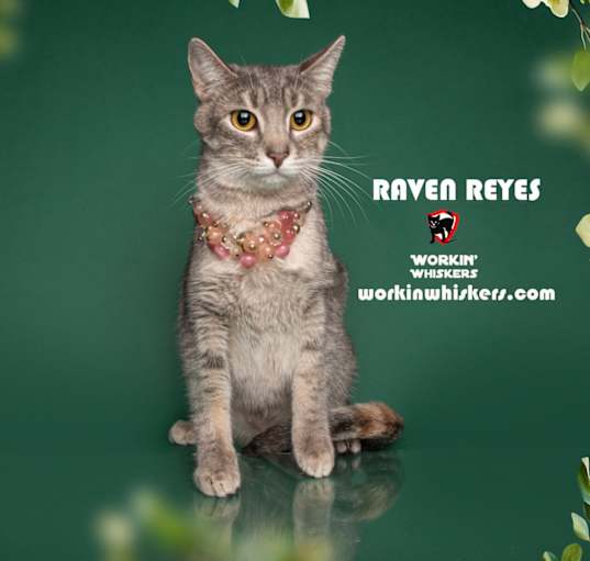 Photo of RAVEN REYES