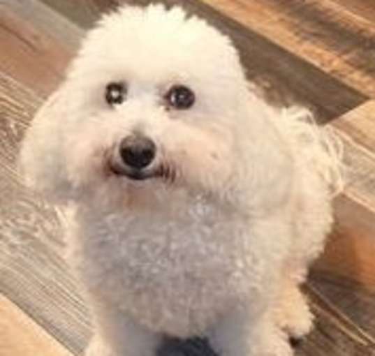 Photo of Wadud