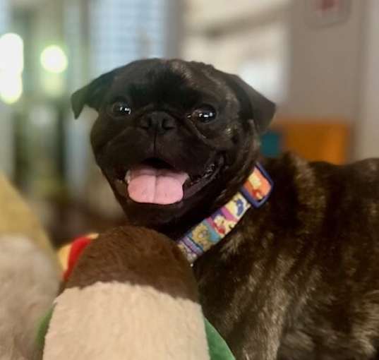 Photo of Finley