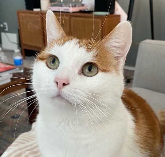 Photo of Beasley