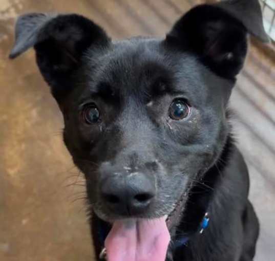 Photo of Stormy