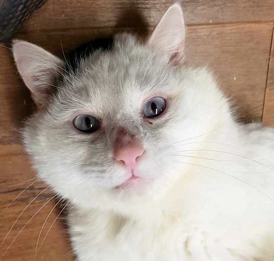 Photo of Colin