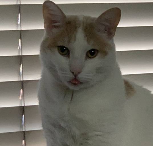 Photo of Haelee