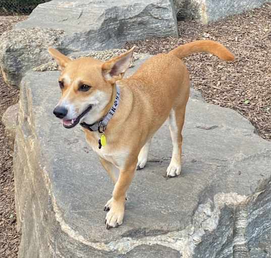 Photo of Wink
