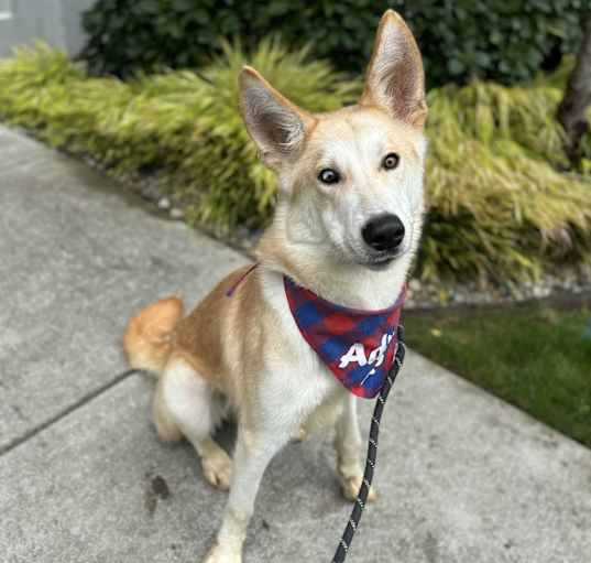 Photo of Flynn