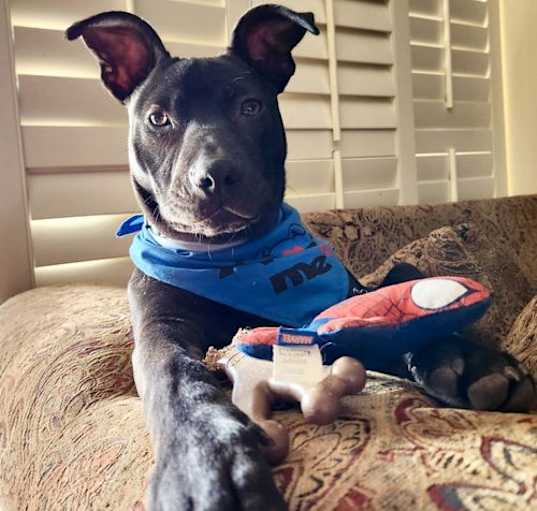 Photo of ROSCO