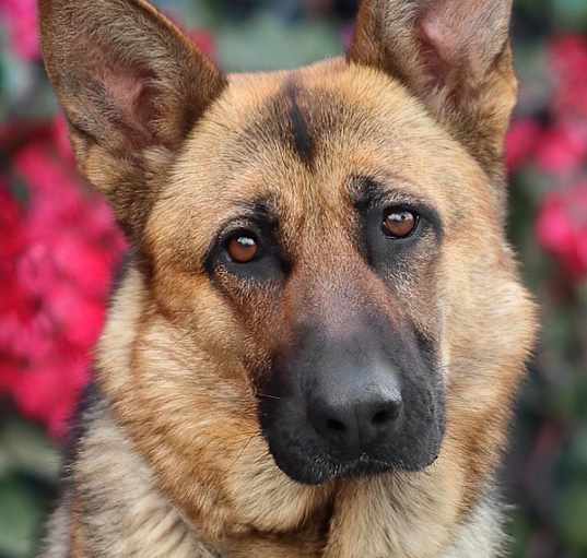 Photo of Xena von Ziesar