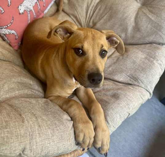 Photo of Twix