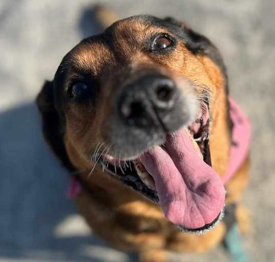Photo of Nano