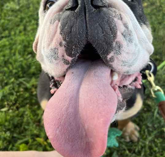 Photo of Kilo