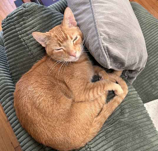 Photo of Cash