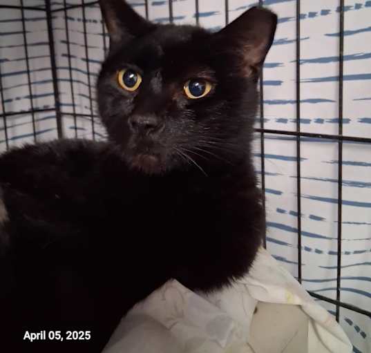 Photo of Jack