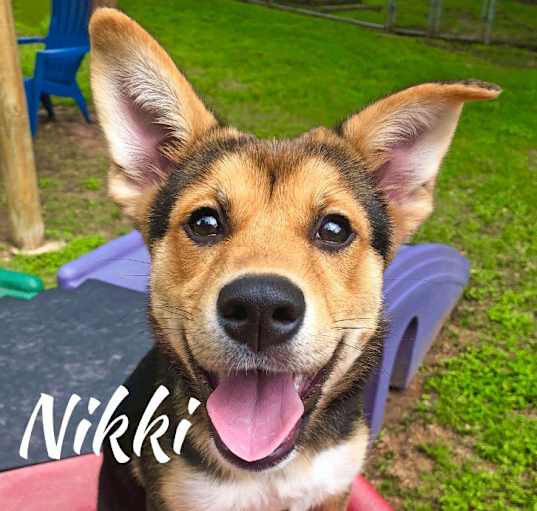 Photo of Nikki
