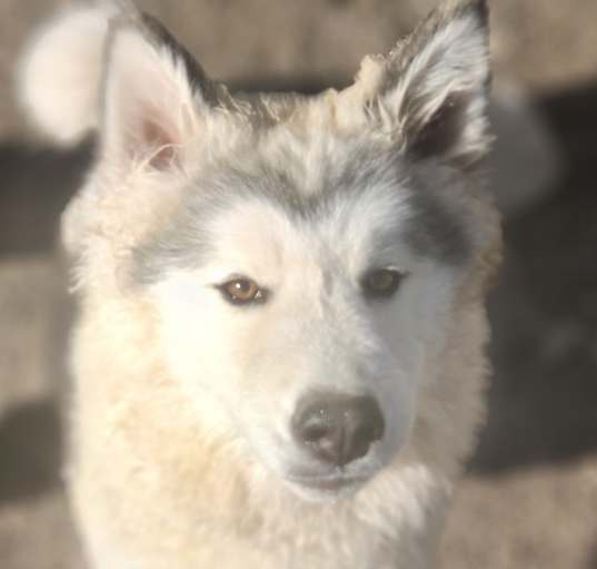 Photo of Leigha