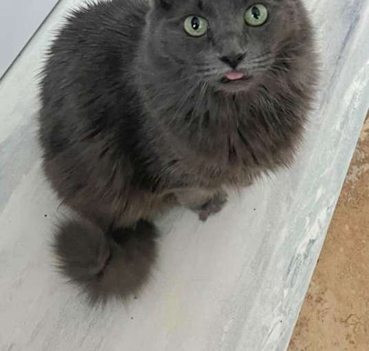 Photo of Baby
