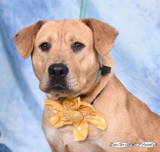 Photo of Mabel