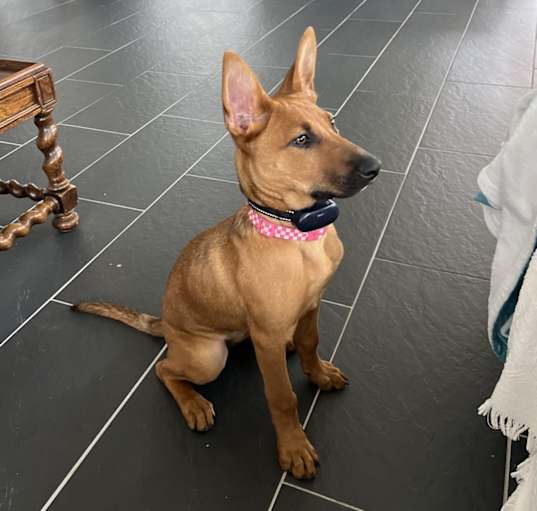Photo of Chloe