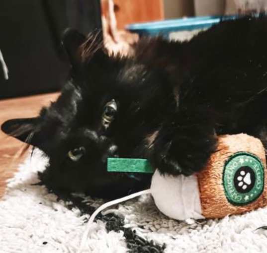 Photo of Delilah