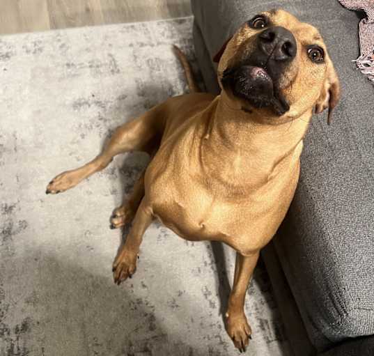 Photo of Leia Coffee Cinnamon