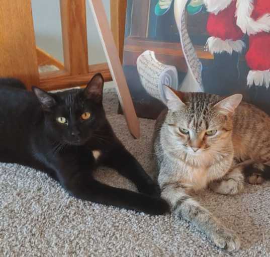 Photo of Chloe and Flash