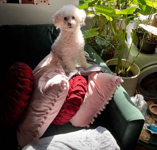 Photo of Dolly Pawton