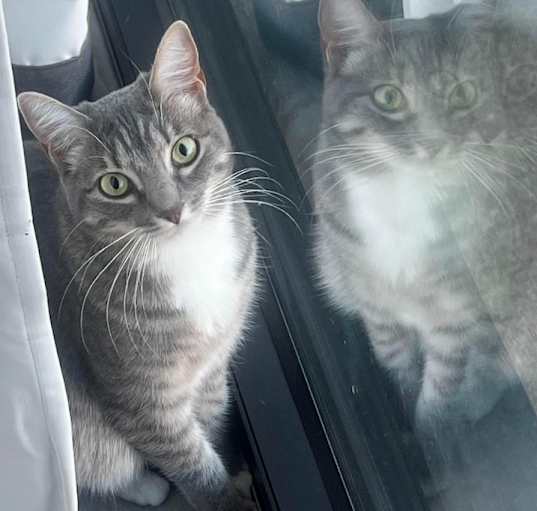 Photo of Cash
