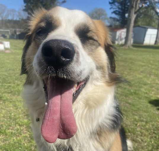 Photo of Lucy