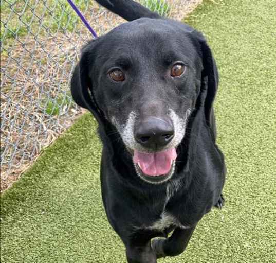 Photo of REMINGTON