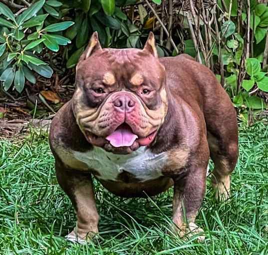 Photo of Kenzo