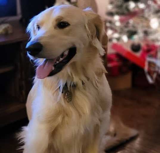 Photo of Phoenix