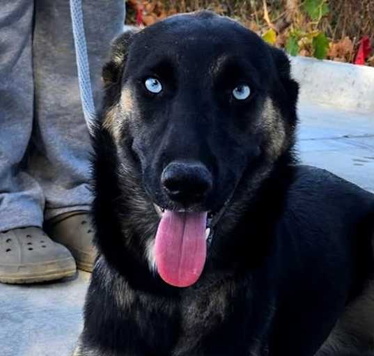 Photo of CHAI