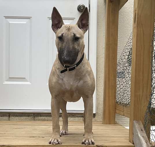 Photo of Winnie