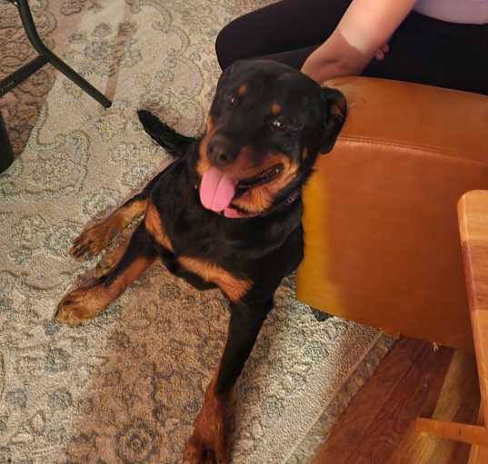 Photo of Kismet