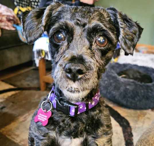 Photo of Missy Jo