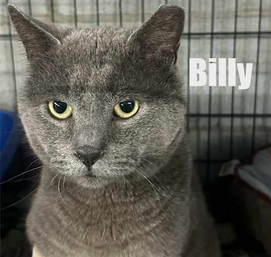 Photo of Billy