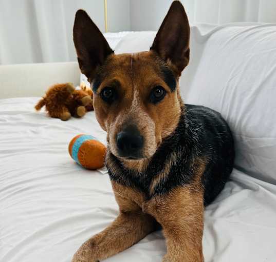 Photo of Tessa