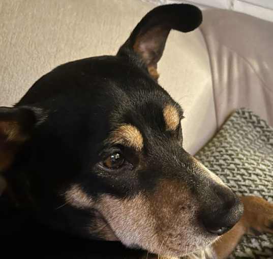 Photo of Janie