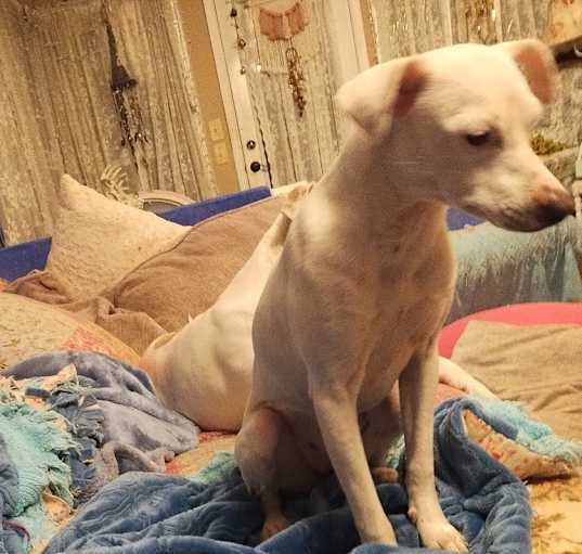 Photo of Baby