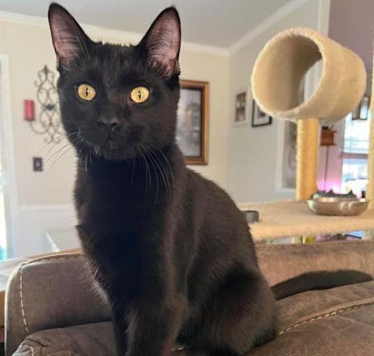 Photo of Roscoe