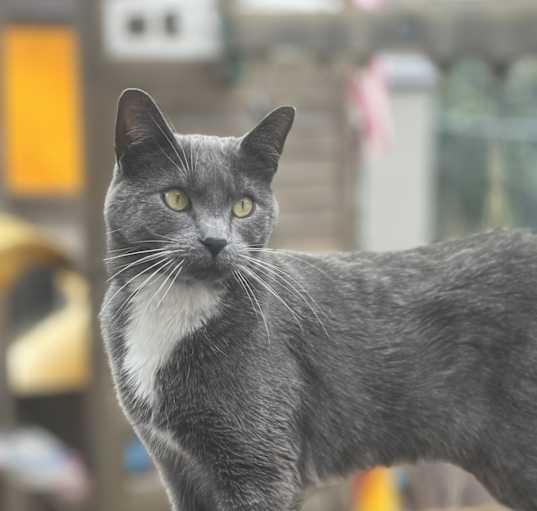 Photo of Rosie