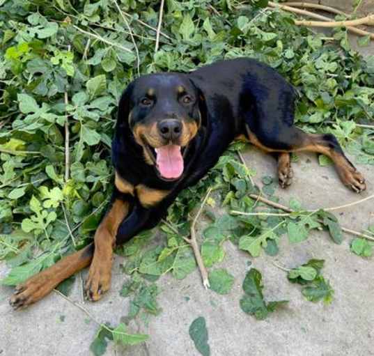 Photo of Bumi